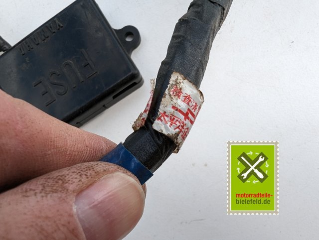 PXL_20240528_144344297